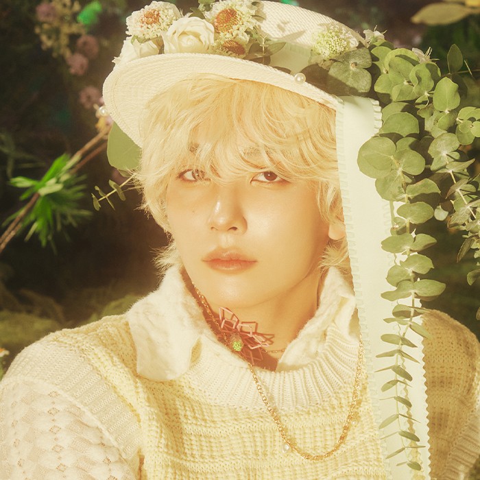 dk-seventeen-profile-age-height-weight-mbti-birthday-idol-sight